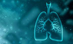 In most forms of the disease, the bacillus spreads slowly and widely in the lungs, causing the formation of hard nodules. Adding To The Arsenal Targeting Human Proteins For Controlling M Tuberculosis Growth