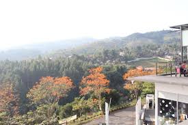 By @miss_nidy di 10:02 am. View From The Cafe Picture Of Lawangwangi Creative Space Bandung Tripadvisor