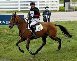 Head of partnerships and practice, platfform. Townend Stars In Cross Country To Take Lead At Kentucky Three Day Event