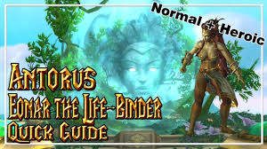 Watch the video explanation about eonar mythic solo guide/commentary online, article, story, explanation, suggestion, youtube. Eonar The Life Binder Antorus The Burning Throne Quick Guide Normal Heroic Youtube