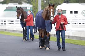 4 × silber), neunfache weltmeisterin, zwanzigfache europameisterin und vierzehnfache deutsche meisterin und damit weltweit die erfolgreichste reiterin und dressurreiterin aller zeiten. Deutsches Dressurteam In Tokio Angekommen Isabell Werth Betreut Pferde Bei Flug