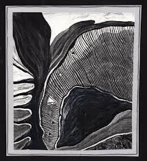 Abstract Black And White Watercolor Painting Abstract Photocopied Watercolor Painting And Colored Pencil Abstract Lines Black White Gray Closeup Of Squash Abstract Watercolor Paintings Painting