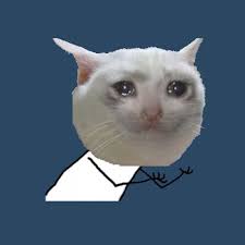 Cat Meme Templates Imgflip Cat Memes Cat Mem Meme Template