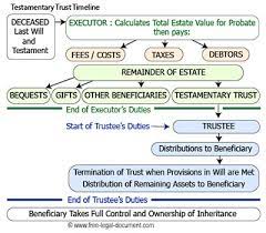 Example reduced disclosure requirements financial statements Testamentary Trust How To Create One