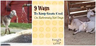 To keep your baby warm, you can pour warm water over his or her body throughout the bath. 9 Ways To Keep Goats Cool On Extremely Hot Days Farm Fit Living