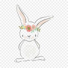 Hase Aquarell Malen Europaische Kaninchen Zeichnung Bts Zeichensymbol Png Herunterladen 886 886 Kostenlos Transparent Kaninchen Png Herunterladen