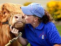 Heres Geoffrey One Of Our Miniature Llamas He Had Just Gotten Shorn For The Summer Months Wwwtheteenytinyfarmcom Miniature Animals Pony Rides Pet Travel