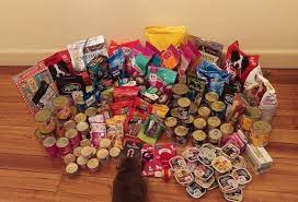 Check spelling or type a new query. Pet Food Drive Pets Of The Homeless Australia