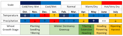 a review of the 2018 19 eastern nebraska winter wheat