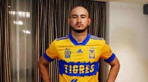 Ver más ideas sobre tigres, tigres uanl, tigres futbol. Azuyg7onurbtm