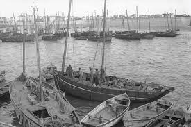 Chaloupes Du Guilvinec A Port Maria Bretagne Quiberon Bateaux