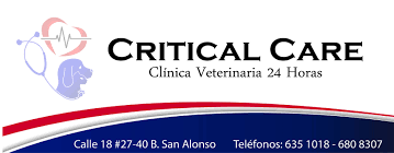 CLÍNICA VETERINARIA CRITICAL CARE