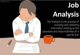 Job Analysis Definition Importance Components Methods Purpose Process