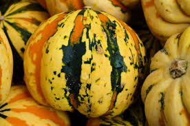 Image result for carnival acorn squash