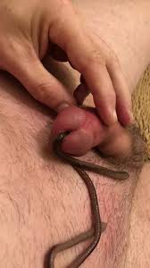 Worm goes in - ThisVid.com