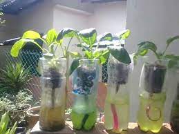 Berikut contoh gambar desain model atap rumah minimalis sederhana dan mewah terbaru sebagai inspirasi anda untuk memilih atap rumah yang sesuai dengan keinginan anda untuk mewujudkan rumah idaman anda. Mini Kebun Di Rumah Youtube