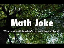 Math Jokes By Tamie Hofstad