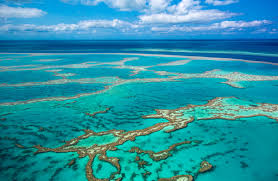 The personal care products council (pcpc) provides education and information to help consumers and a variety of stakeholders make informed decisions about sunscreen. Hawaii Sunscreen Ban Queensland Government Warns Of Reef Harm