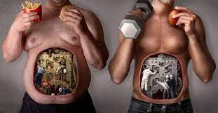 Combien D Abdos Par Jour Pour Perdre Du Ventre Se Muscler Exerciceabdo Fr