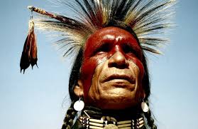 Photographic Collections 1981-2013