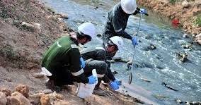 Cara mengatasi anyang anyangan dengan memperbanyak minum. Pelan Cegah Pembuangan Sisa Toksik Ke Sungai Denyutreformasi