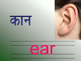 If you would like to know the marathi name of any other body, you can contact us or leave your question in the comment section. Body Parts Name Marathi English Name Youtube