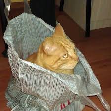 images?q=tbn:ANd9GcQGJQ0mJYEVdAoErj7sjQJsjG0ecGLHX3bN0g&s