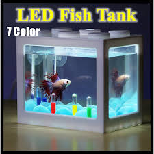 Learn about 10 different fish that can live with betta fish as friendly companions. Ship Today Mini Led Betta Fish Tank Aquarium Fighting Cylinder Rumble Usb Led Building Block Fish Tank Spider Marimo Shopee Malaysia