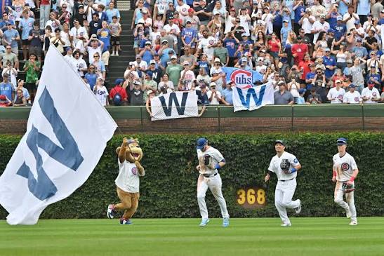 Bleed Cubbie Blue
