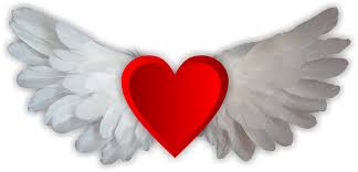 Resultado de imagem para asas do amor