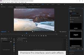 It is new in town. Premiere Rush Vs Pro 2020 What Software Is Better Freebies