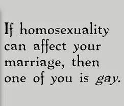 Pin On Lgbt