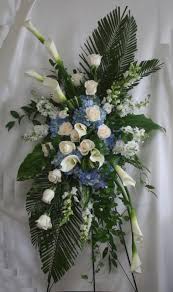 We did not find results for: Galaxy Wide Blue And White Funeral Flowers Spray