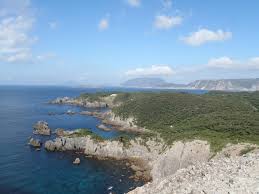 110,025 likes · 3,081 talking about this · 1,549,954 were here. æ°å³¶ã¨å¼æ ¹å³¶ã®è¦³å æ±äº¬é½ç'°å¢å± æ±äº¬ã®èªç¶å¬å'