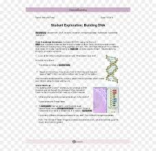 Dna stands for deoxyribonucleic acid. Student Exploration Building Dna Answers Hd Png Download Vhv