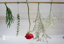 On average people hang flowers upside down to dry for about 4 weeks. The Difference Between Dried And Fresh Flowers 24hrs City Florist