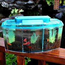 At a bare minimum you'll need two tanks to breed betta; Bestller Separate Breeding Spawning Fish Tank Led Light Triple Cube Betta Aquarium Box For Betta And Small Fish Filtration Water Removable Walmart Com Walmart Com