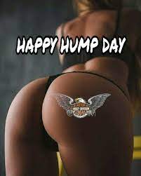 Sexy hump day images