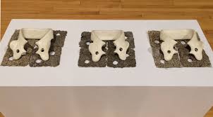 MARTHA BONE : ARTWORK : BONE