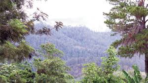 Postales desde Manabao