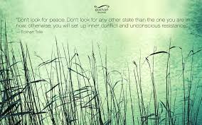 Finding freedom from compulsive mental activity day 3: Eckhart Tolle S Meditation For Finding Inner Peace Huffpost Life