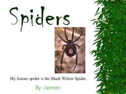 The black widow was once more embroiled in the schemes of the hand when she attempted to prevent them from stealing the body of their master warrior, kirgi, from the morgue. By Taylor Sorensen And Alexandra Breen Slide 1 Introduction Slide 2 Anatomy Physical Description Slide3 Locomotion Movement Slide 4 Diet Food Ppt Download