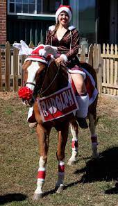 Check spelling or type a new query. Rudolph The Red Nose Reindeer Er Horse Horse Halloween Costumes Christmas Horses Horse Costumes