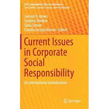 Csr Sustainability Ethics Governance Current Issues In Corporate Social Responsibility An International Consideration Hardcover Walmart Com Corporate Social Responsibility Social Responsibility Ethics