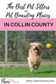 Yes, dogs are allowed at this property. Most Recommended Pet Sitting And Pet Boarding Places In Collin County