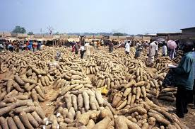 Yam Farming Business Plan In Nigeria Feasibility Study