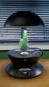 We did not find results for: Spruce Tree In An Aerogarden Aerogarden Grow Lights Spruce Tree