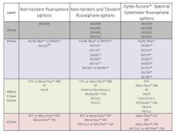 Blog A Guide To Tandem Dyes And Degradation
