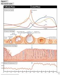 lifeissues net basal body temperature assessment is it