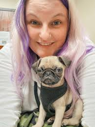 LouieZ accountability Piggies gone wild!😲👮🤦